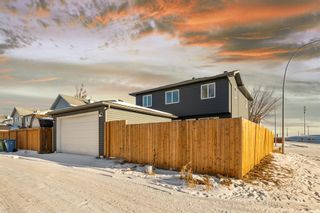 Photo 3: 130 Erin Grove SE in Calgary: Erin Woods Detached for sale : MLS®# A2015661