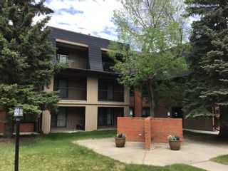 Photo 3: 3303 4001C 49 Street NW in Calgary: Varsity Apartment for sale : MLS®# A2052338