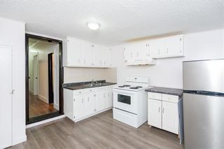 Photo 16: 550 Mountain Avenue in Winnipeg: House for sale : MLS®# 202330156