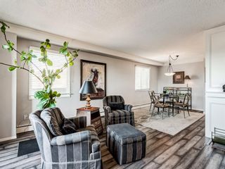 Photo 11: 704 235 15 Avenue SW in Calgary: Beltline Apartment for sale : MLS®# A1167639