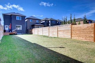 Photo 44: 14 Legacy Close SE in Calgary: Legacy Detached for sale : MLS®# A2003136