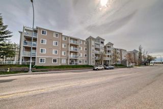 Photo 42: 310 270 Shawville Way SE in Calgary: Shawnessy Apartment for sale : MLS®# A2130341