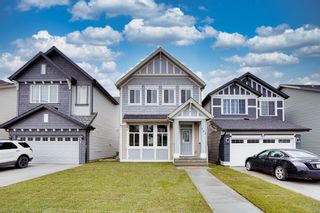 Main Photo: 163 Skyview Point Crescent NE in Calgary: Skyview Ranch Detached for sale : MLS®# A2007306