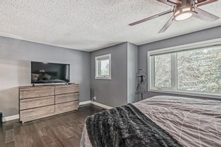 Photo 24: 528 Point Mckay Grove NW in Calgary: Point McKay Row/Townhouse for sale : MLS®# A2027172