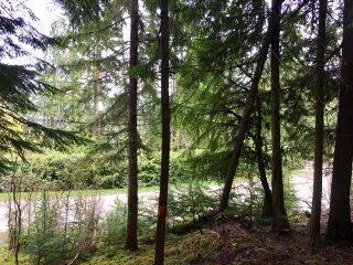 Photo 6: 3,4,6 Armstrong Road in Eagle Bay: Vacant Land for sale : MLS®# 10133907