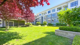 Photo 26: 229 9551 ALEXANDRA ROAD in Richmond: West Cambie Condo for sale : MLS®# R2785023