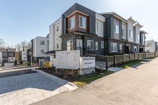 Main Photo: 51 9652 162A Street in Surrey: Fleetwood Tynehead Townhouse for sale : MLS®# R2891145
