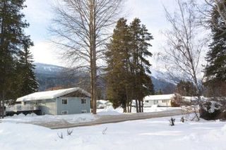 Photo 17: 4174 FIRST Avenue in Smithers: Smithers - Town House for sale (Smithers And Area (Zone 54))  : MLS®# R2239426