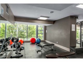 Photo 13: 316 1255 SEYMOUR Street in Vancouver: Downtown VW Townhouse for sale in "ELAN" (Vancouver West)  : MLS®# V1087221