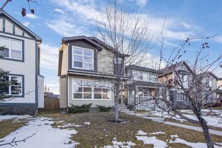 Photo 1: 23 Walden Manor SE in Calgary: Walden Detached for sale : MLS®# A1179933