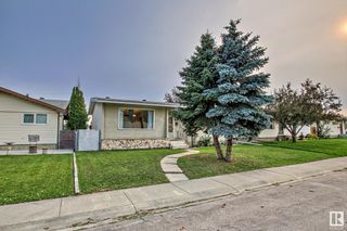 Photo 40: 11807 137 Avenue in Edmonton: Zone 01 House for sale : MLS®# E4356838
