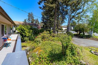 Photo 6: 908 Rankin Rd in Esquimalt: Es Kinsmen Park Single Family Residence for sale : MLS®# 955514