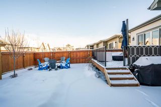 Photo 46: 27 Cranbrook Common SE in Calgary: Cranston Semi Detached (Half Duplex) for sale : MLS®# A2106093