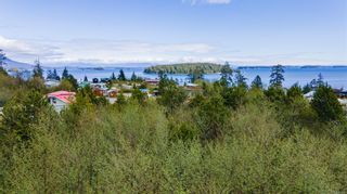 Photo 10:  in Ucluelet: PA Salmon Beach Land for sale (Port Alberni)  : MLS®# 901045
