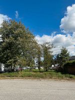Main Photo: 11230 206 Street in Maple Ridge: Southwest Maple Ridge Land for sale : MLS®# R2816038