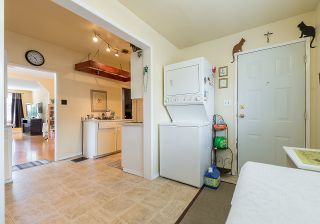 Photo 18: 557 E 56TH Avenue in Vancouver: South Vancouver House for sale (Vancouver East)  : MLS®# R2385991