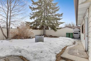 Photo 35: 444 Whiteland Drive NE in Calgary: Whitehorn Detached for sale : MLS®# A1076099