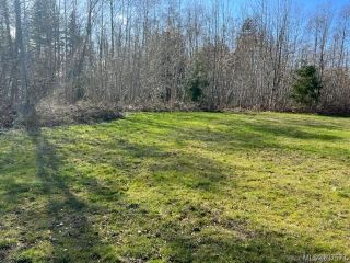 Photo 4: 4282 Glendinning Dr in Campbell River: CR Campbell River North Land for sale : MLS®# 897573