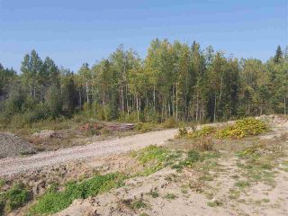 Photo 8: 20035 CARIBOO Highway: Buckhorn House for sale (PG Rural South (Zone 78))  : MLS®# R2499892