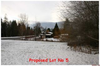 Photo 6: 2450 NE 21 Street in Salmon Arm: Pheasant Heights House for sale : MLS®# 10039136