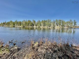 Photo 3: Lot 3 Pigott Lake Road in Lakelands: 105-East Hants/Colchester West Vacant Land for sale (Halifax-Dartmouth)  : MLS®# 202401315