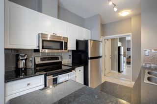 Photo 4: 302 42 6A Street NE in Calgary: Bridgeland/Riverside Apartment for sale : MLS®# A1192149
