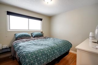 Photo 10: 1624 40 Street SW in Calgary: Rosscarrock Detached for sale : MLS®# C4282332