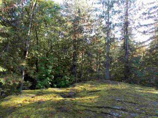Photo 8: Pender Harbor Property and Land  For Sale
