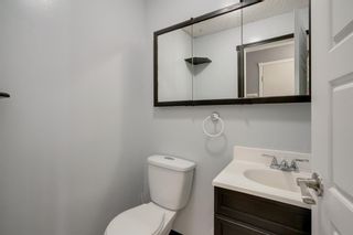 Photo 12: 119 Erin Dale Place SE in Calgary: Erin Woods Detached for sale : MLS®# A1038168