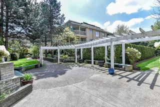 Photo 25: 210 13733 74 Avenue in Surrey: East Newton Condo for sale in "KINGS COURT" : MLS®# R2555646