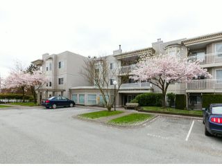 Photo 11: 101 9942 151ST Street in Surrey: Guildford Condo for sale in "WESTCHESTER PLACE" (North Surrey)  : MLS®# F1408752