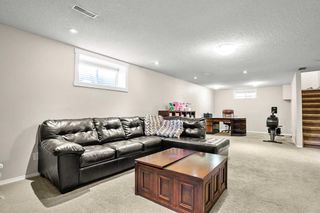 Photo 24: 19 Erin Park Bay SE in Calgary: Erin Woods Detached for sale : MLS®# A2125243