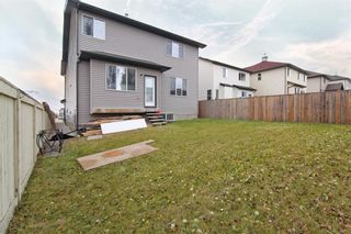 Photo 29: 224 MORNINGSIDE Green SW: Airdrie Detached for sale : MLS®# A2010314