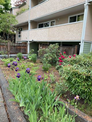 Photo 31: 307 1006 CORNWALL Street in New Westminster: Uptown NW Condo for sale in "KENWOOD COURT" : MLS®# R2615158