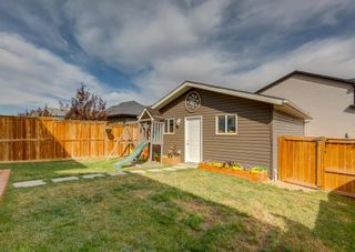 Photo 25: 74 Nolan Hill Drive NW in Calgary: Nolan Hill Detached for sale : MLS®# A2002872