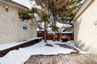 Photo 28: 7711 Hunterquay Way NW in Calgary: Huntington Hills Detached for sale : MLS®# A2032516