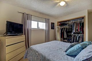 Photo 13: 3303 39 Street SE in Calgary: Dover Detached for sale : MLS®# A1084861