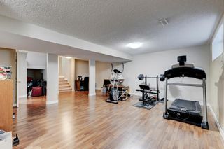 Photo 17: 20 Copperpond Gardens SE in Calgary: Copperfield Detached for sale : MLS®# A2051464