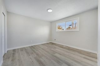 Photo 15: 99 Dovercliffe Way SE in Calgary: Dover Detached for sale : MLS®# A1259510