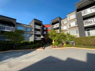 Photo 16: 208 5700 200 Street in Langley: Langley City Condo for sale in "Langley Village" : MLS®# R2875175