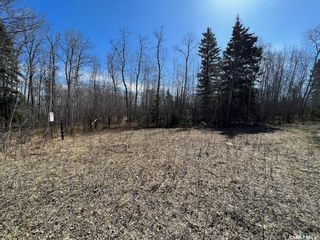 Photo 11: Hunting & Adventure Quarter Section in Parkdale: Lot/Land for sale (Parkdale Rm No. 498)  : MLS®# SK927498