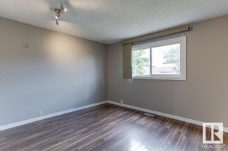 Photo 19: 4134 38 Street in Edmonton: Zone 29 House for sale : MLS®# E4301290