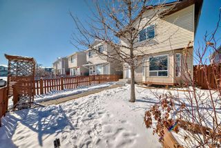 Photo 40: 76 Martinbrook Road NE in Calgary: Martindale Detached for sale : MLS®# A2119222