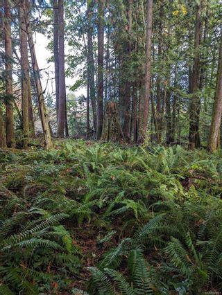 Photo 5: Lot F Craven Cres in Mill Bay: ML Mill Bay Land for sale (Malahat & Area)  : MLS®# 946461