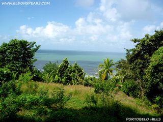 Photo 1: Oceanview land for sale near Portobelo