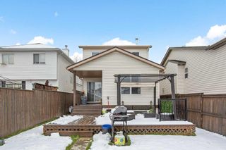 Photo 44: 1027 Everridge Drive SW in Calgary: Evergreen Detached for sale : MLS®# A2128339