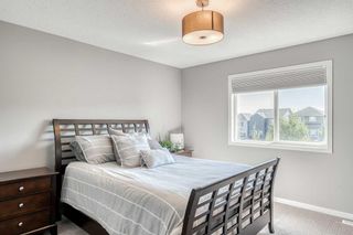 Photo 29: 160 Nolanhurst Crescent NW in Calgary: Nolan Hill Detached for sale : MLS®# A2125221