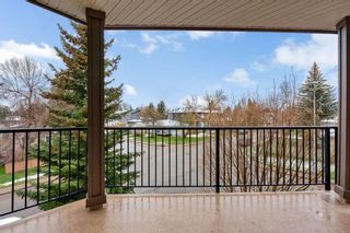 Photo 32: 310 3810 43 Street SW in Calgary: Glenbrook Apartment for sale : MLS®# A2128226