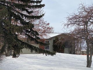 Photo 28: 4402 46 Avenue: Olds Detached for sale : MLS®# A2033030