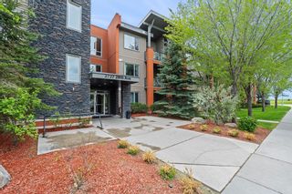 Main Photo: 137 2727 28 Avenue SE in Calgary: Dover Apartment for sale : MLS®# A2129432